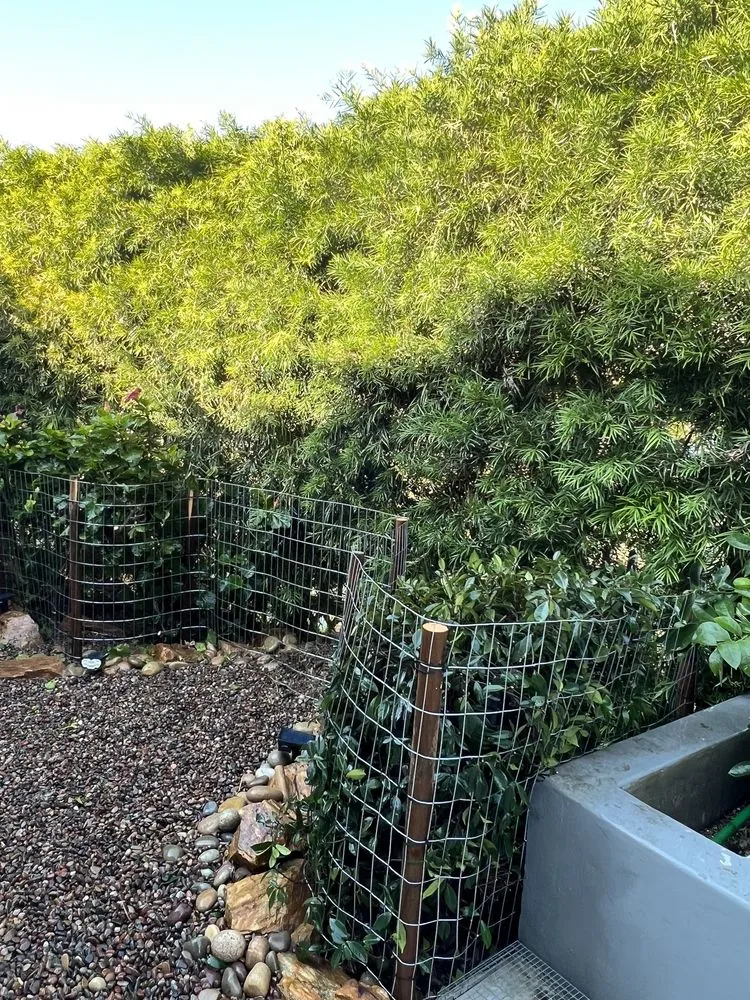 Professional landscape installation in Costa Mesa, CA by Costa Mesa Gardening Services