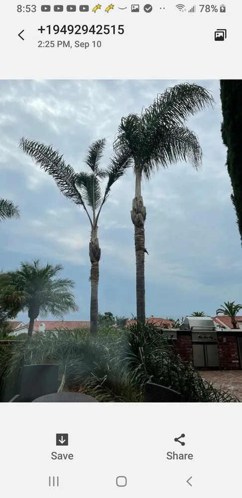 Professional yard cleanup service for residential properties across Costa Mesa, CA - Costa Mesa Gardening Services