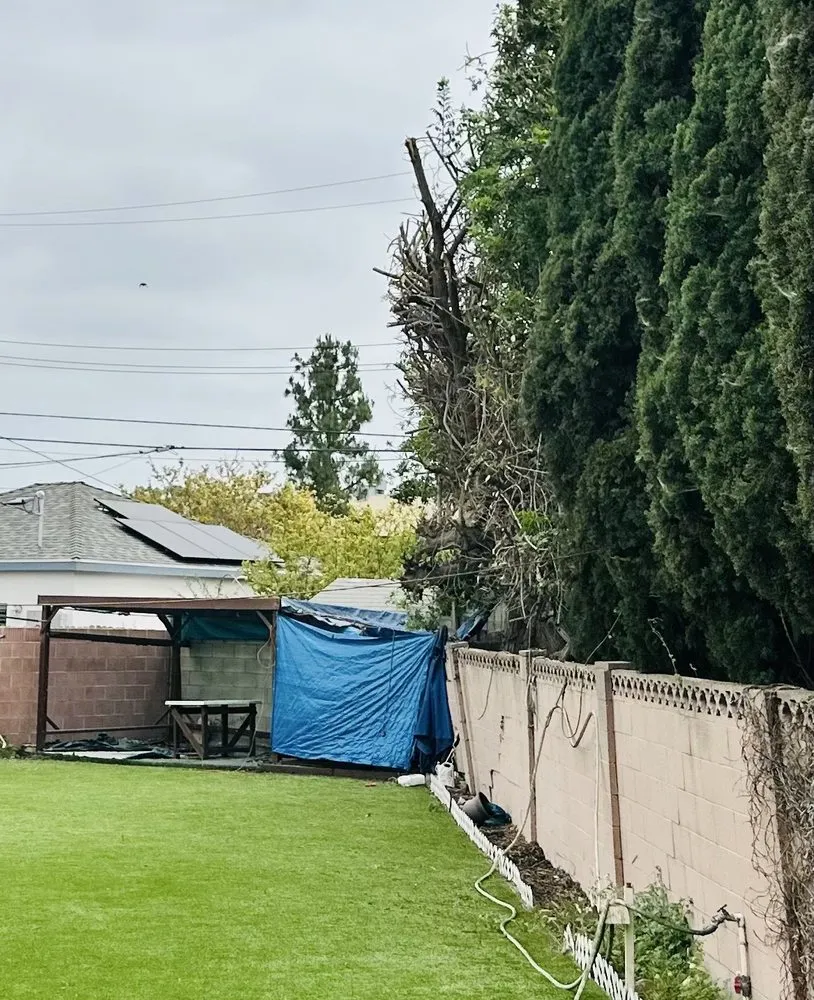 Affordable garden landscaping experts serving Costa Mesa, CA - Costa Mesa Gardening Services