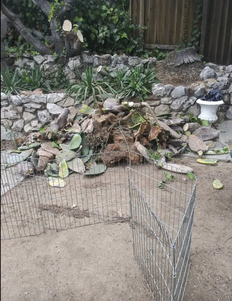 Trusted landscape design for residential properties across Santa Barbara, CA - Costa Services Gardening