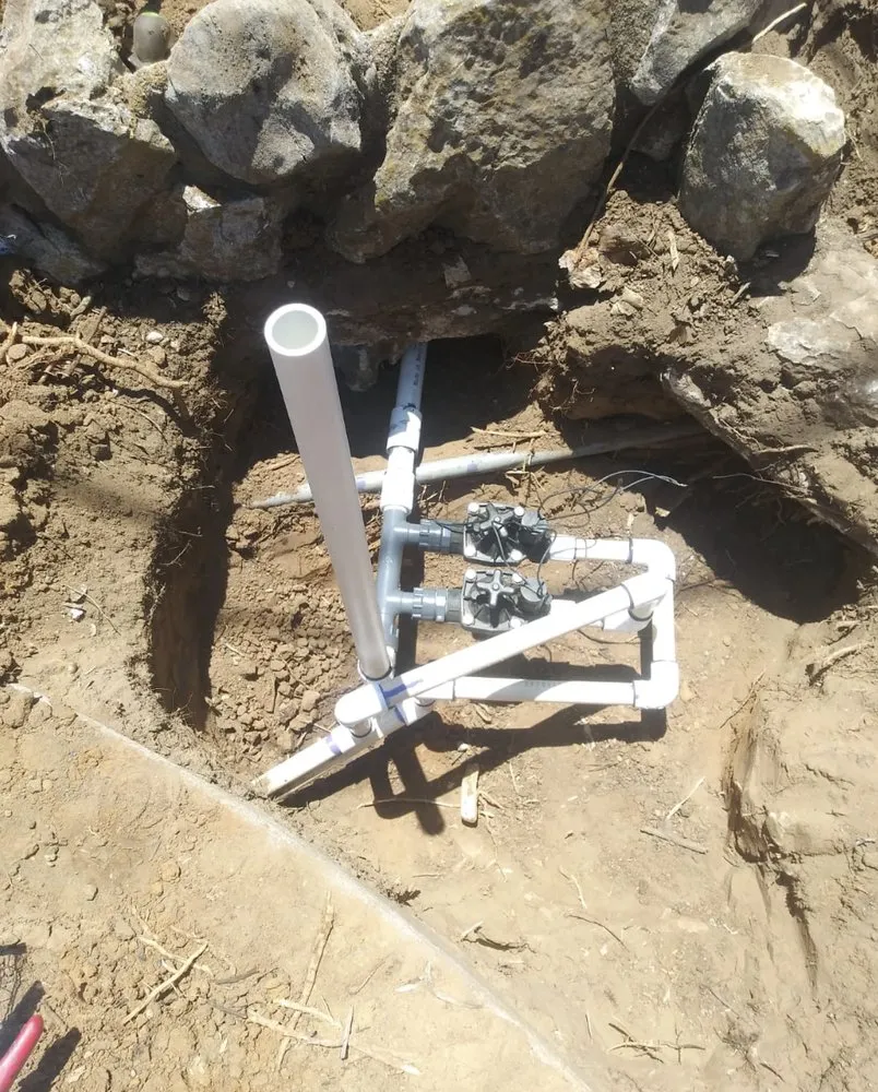 Trusted yard maintenance in Santa Barbara, CA by Costa Services Gardening