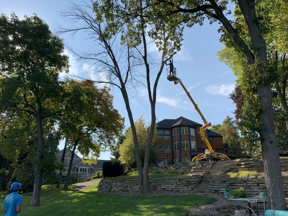 Trusted lawn mowing service experts serving Hartland, WI - Costa Tree Service