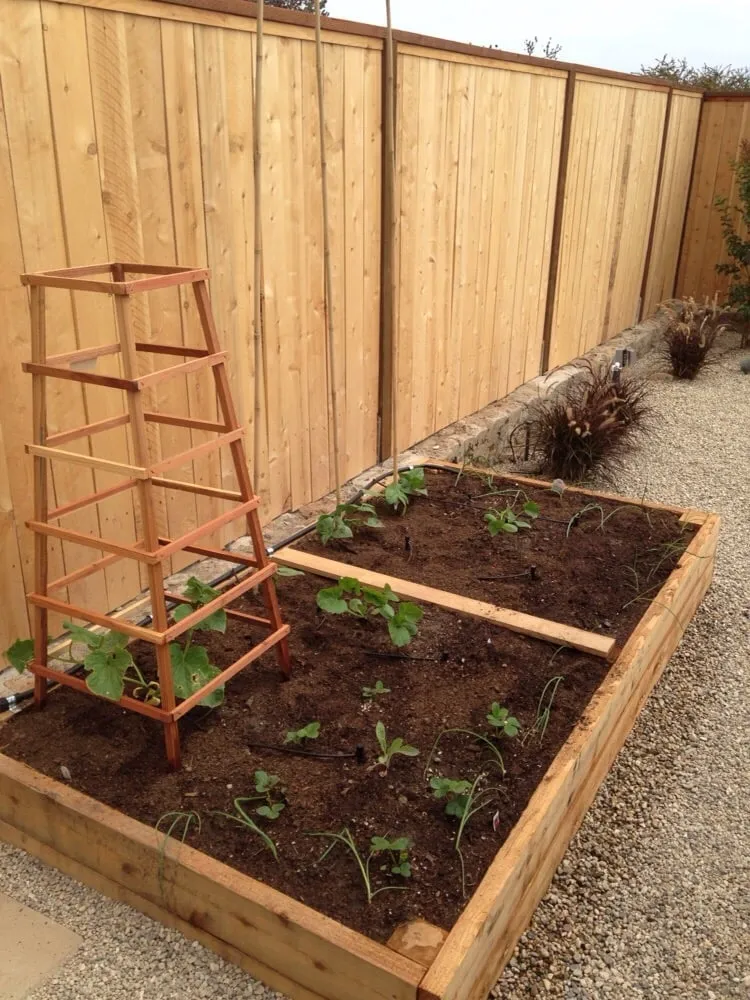 Expert landscaping services experts serving San Clemente, CA - Costa Verde Landscape