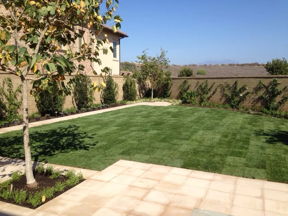 Professional yard maintenance experts serving San Clemente, CA - Costa Verde Landscape
