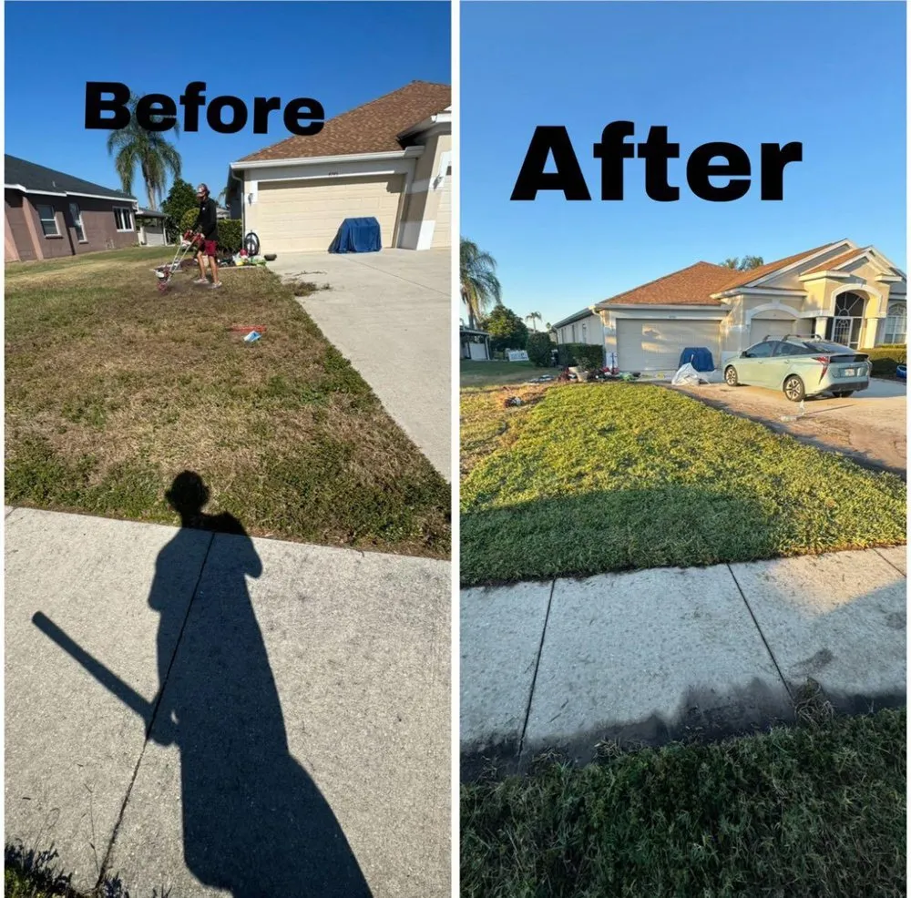 Expert garden landscaping in Sarasota, FL - Costal Greenscape Landscaping