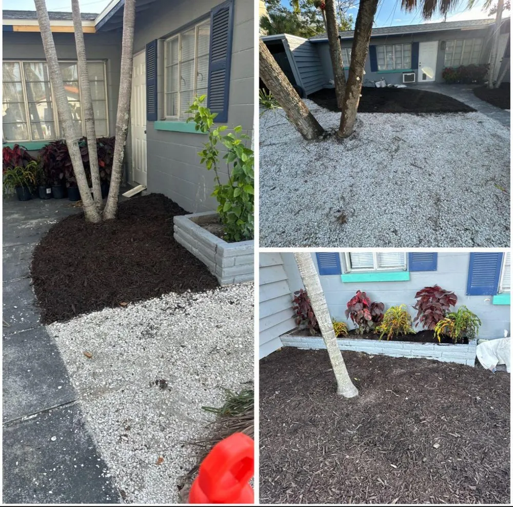 Local landscape installation in Sarasota, FL by Costal Greenscape Landscaping