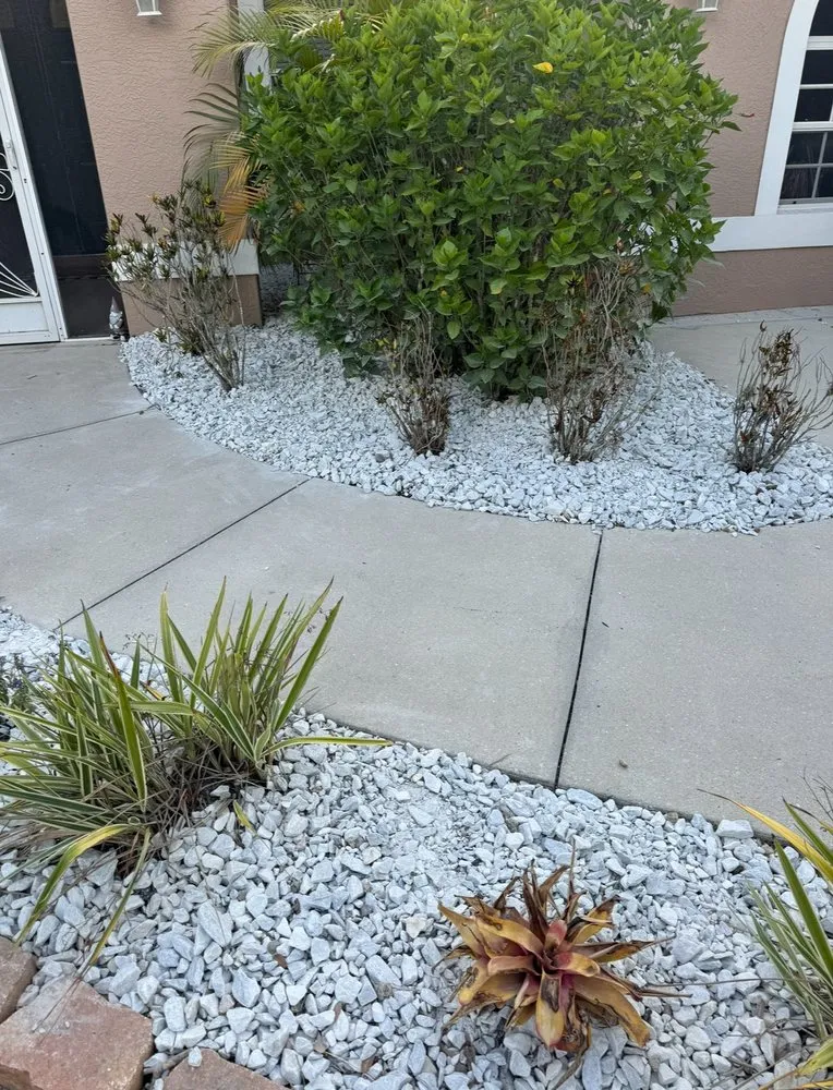 Top-rated outdoor landscaping with custom design in Sarasota, FL by Costal Greenscape Landscaping