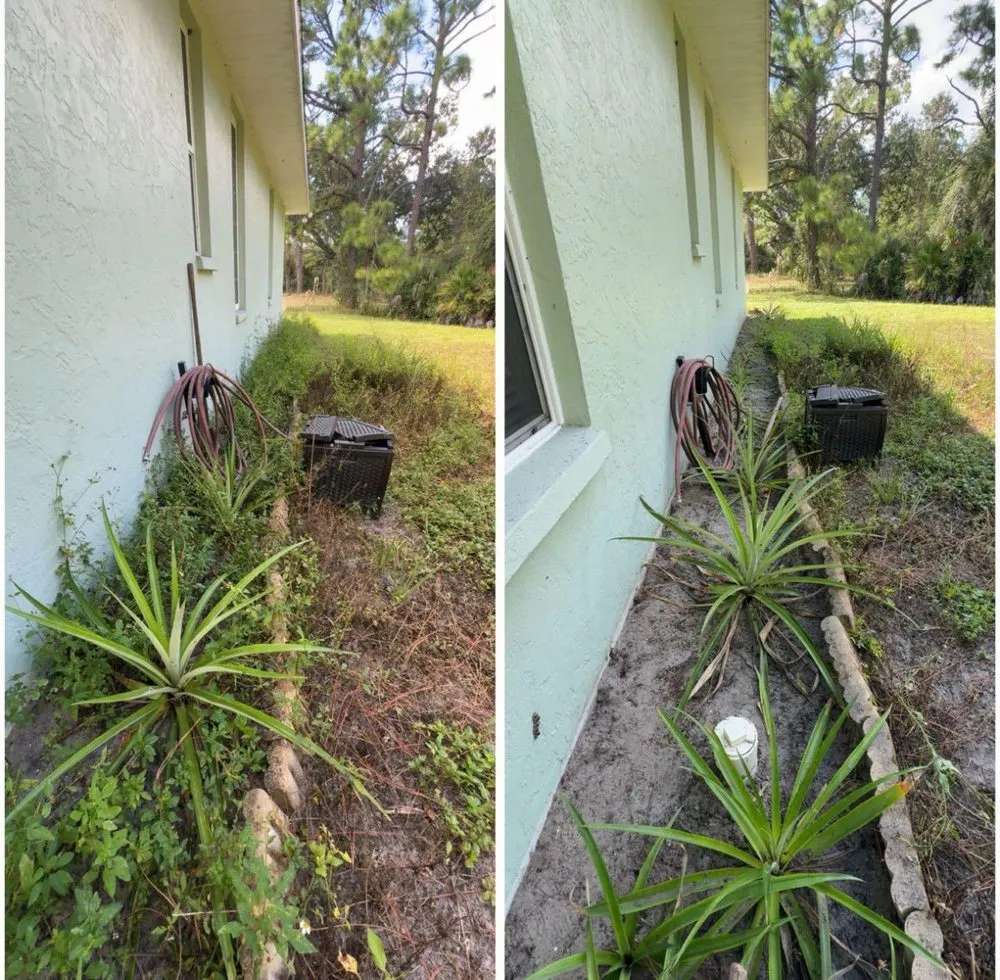 Professional yard maintenance in Sarasota, FL by Costal Greenscape Landscaping