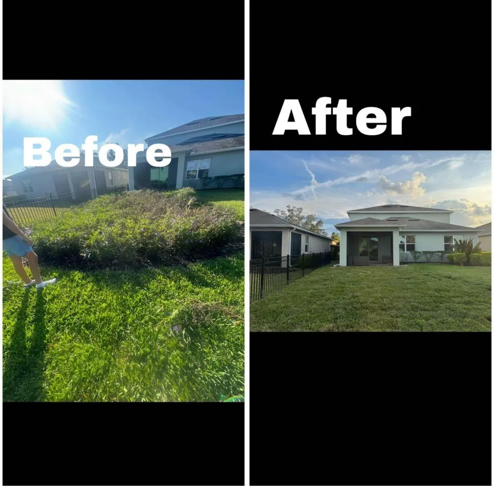 Affordable lawn care service for residential properties across Sarasota, FL - Costal Greenscape Landscaping