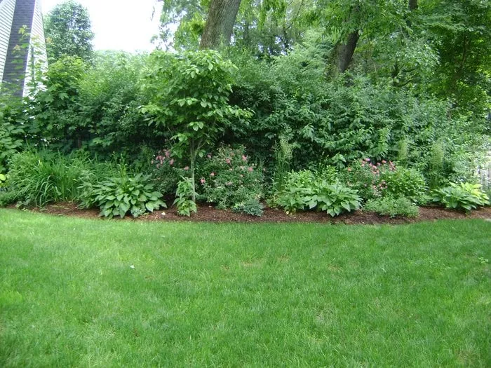 Reliable yard cleanup service experts serving Stamford, CT - Costanzo Tree & Landscape