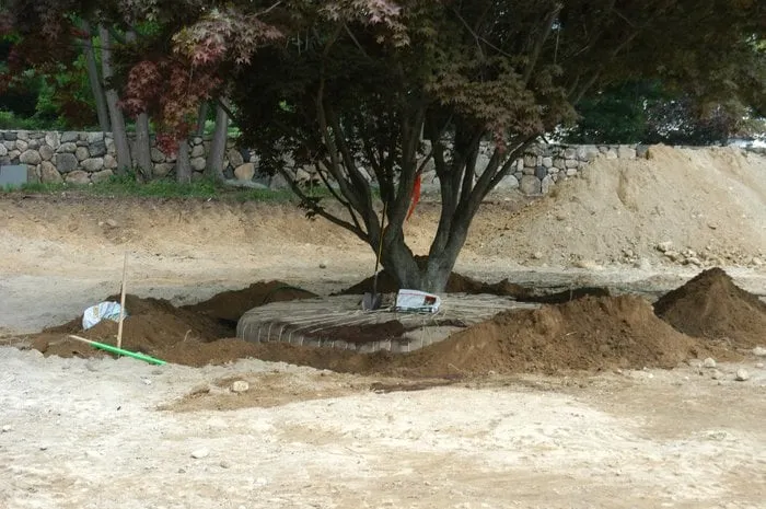 Top-rated landscape design experts serving Stamford, CT - Costanzo Tree & Landscape