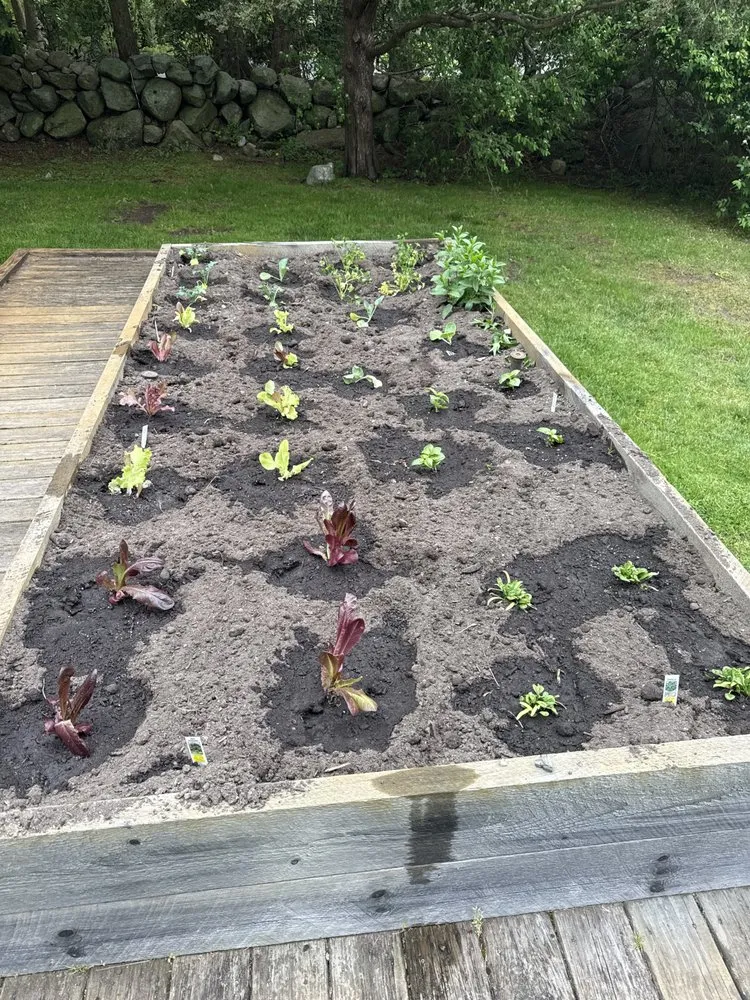 Trusted residential landscaping in Fairhaven, MA - Costeira Lawns