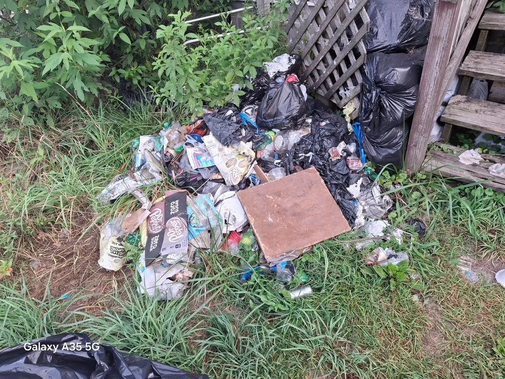 Professional landscaping services for homes in Chattanooga, TN by Costello property management and lawn care services