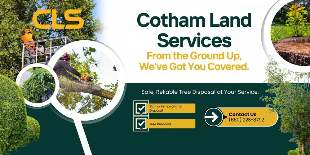 Custom lawn care service for residential properties across Edwards, MO - Cotham Land Services