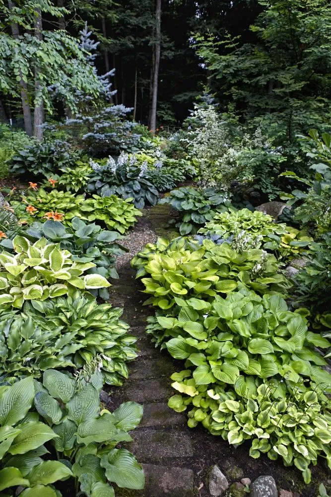 Affordable landscaping services in Edwards, MO by Cotham Land Services