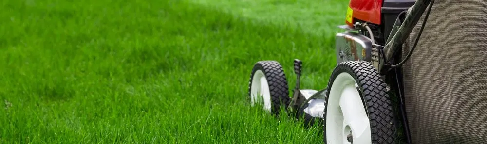 Custom residential landscaping in Edwards, MO - Cotham Land Services