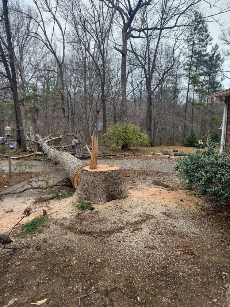 Expert landscaping services for homes across Gaffney, SC - Cothren Construction, Tree & Land Management