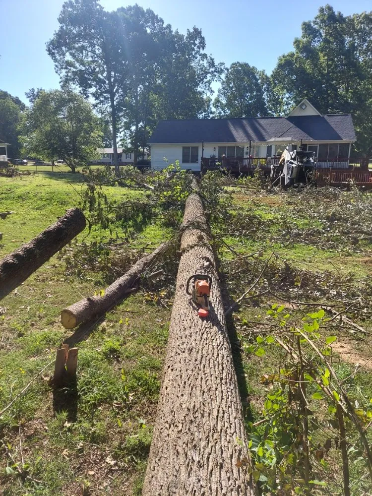 Professional landscape design for outdoor upgrades in Gaffney, SC by Cothren Construction, Tree & Land Management