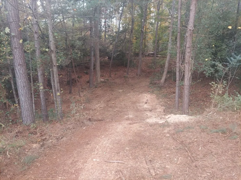 Professional yard cleanup service for outdoor upgrades in Gaffney, SC by Cothren Construction, Tree & Land Management