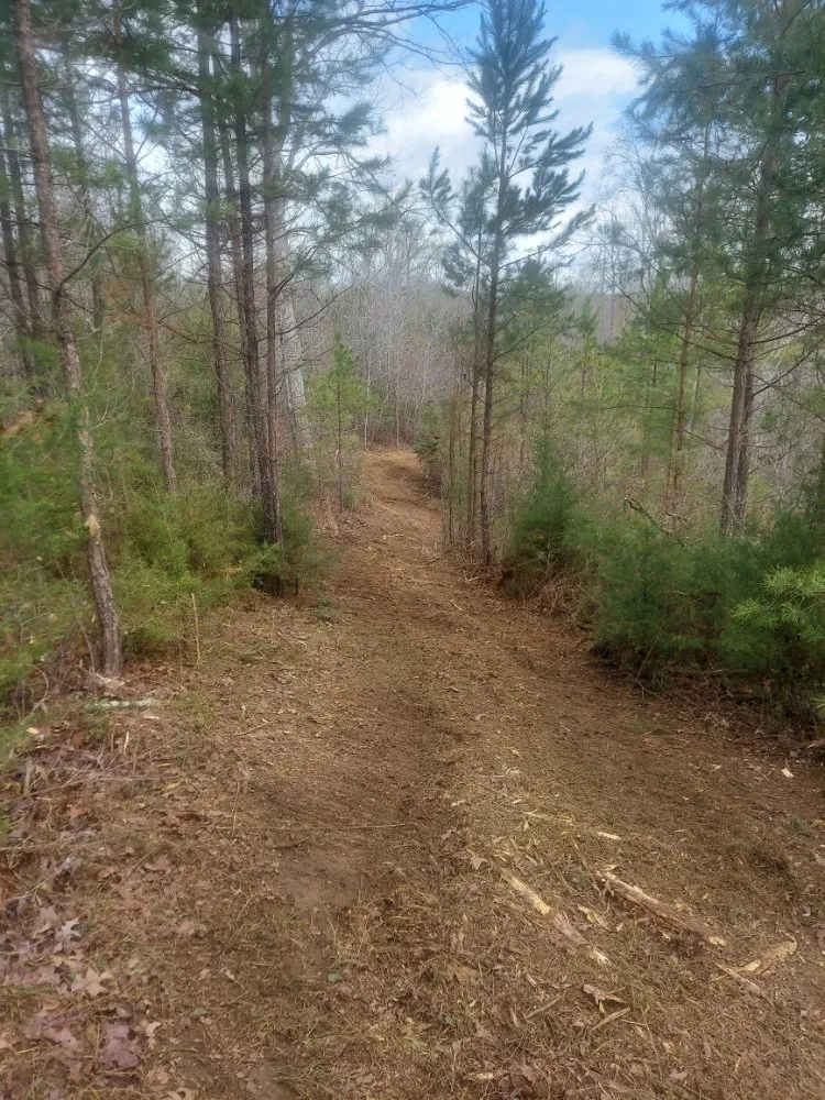 Expert landscape design in Gaffney, SC by Cothren Construction, Tree & Land Management