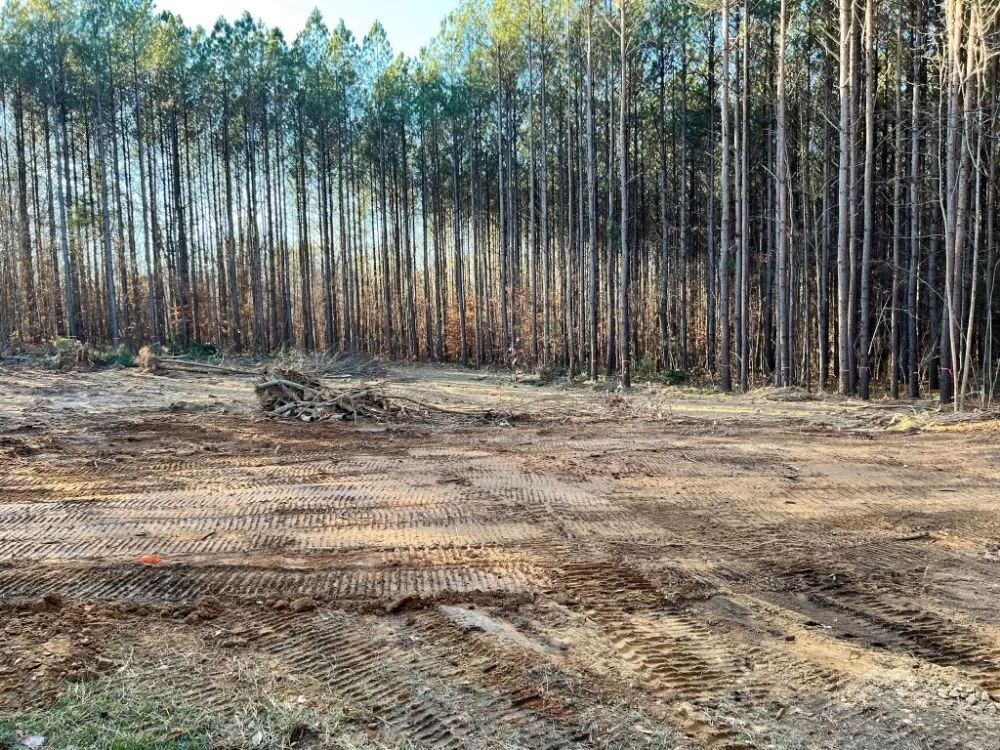 Expert landscaping services experts serving Gaffney, SC - Cothren Construction, Tree & Land Management