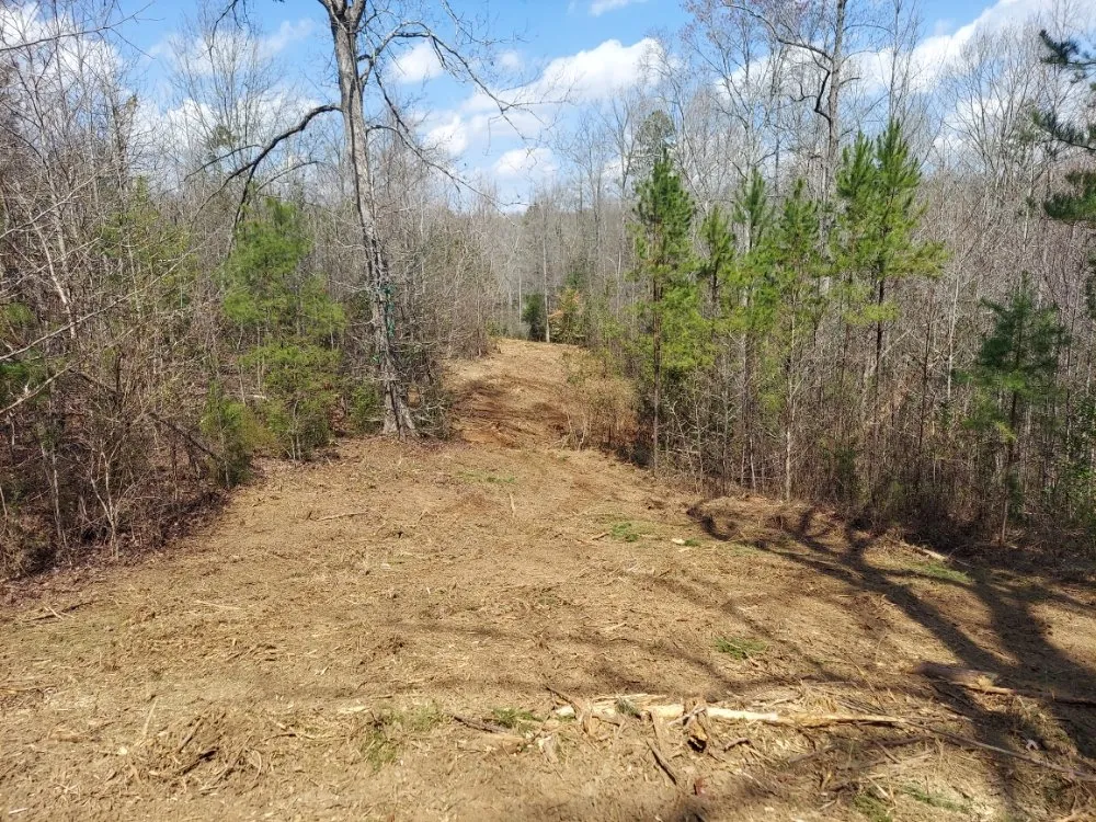 Top-rated landscaping services in Gaffney, SC by Cothren Construction, Tree & Land Management