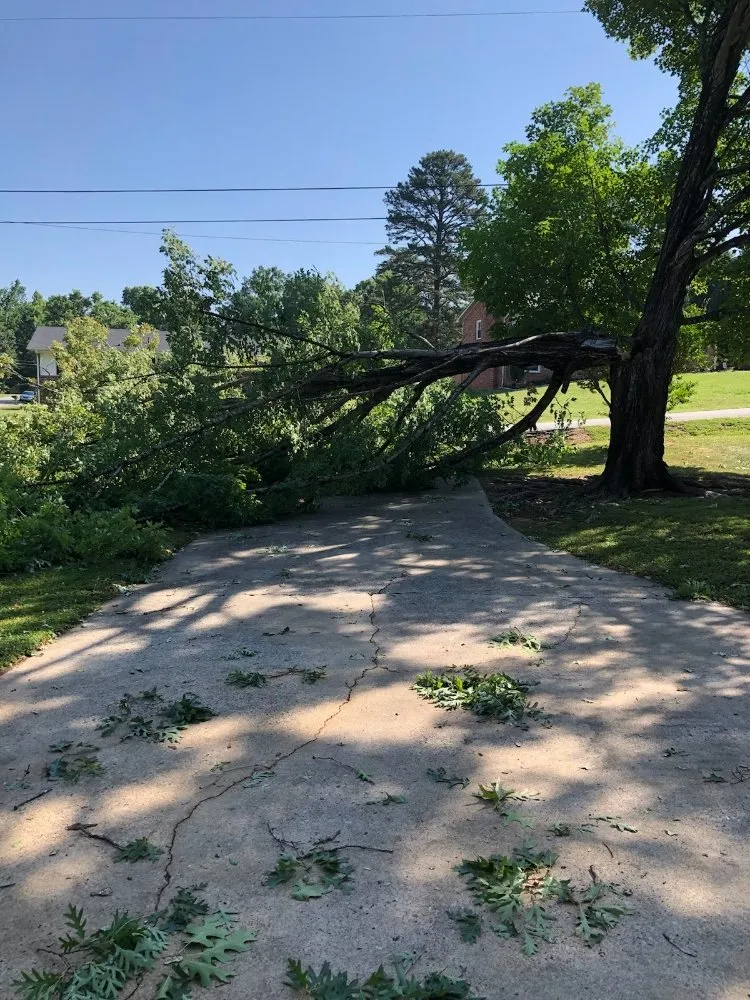 Professional outdoor landscaping for residential properties across Gaffney, SC - Cothren Construction, Tree & Land Management