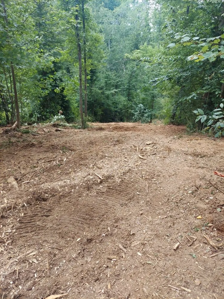 Expert landscape design for homes in Gaffney, SC by Cothren Construction, Tree & Land Management