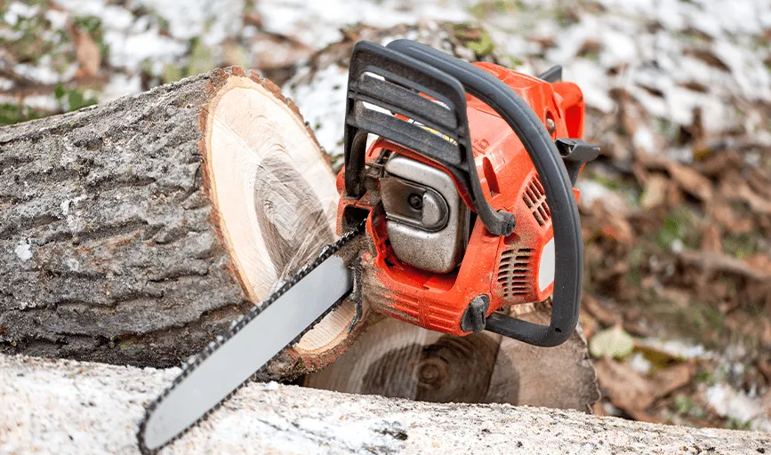 Expert landscape design in Concord, NC - Coto Landscaping