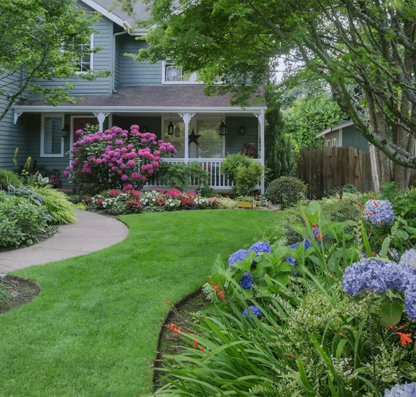 Expert yard cleanup service experts serving Concord, NC - Coto Landscaping