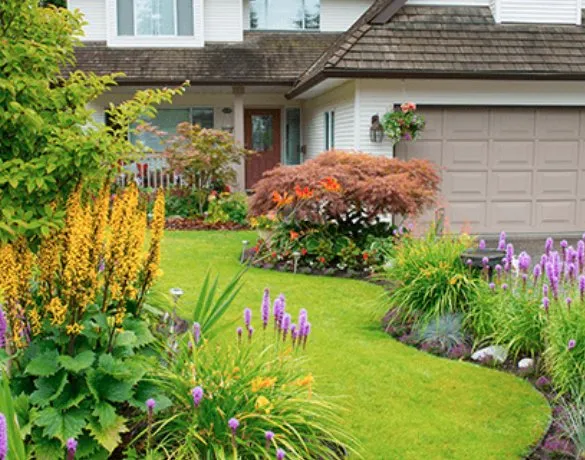 Top-rated yard cleanup service with custom design across Concord, NC - Coto Landscaping