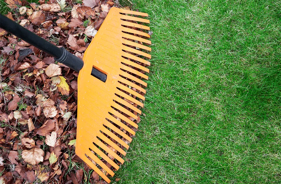 Local lawn mowing service for beautiful yards across Concord, NC - Coto Landscaping