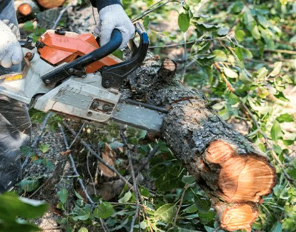 Trusted outdoor landscaping with custom design across Concord, NC - Coto Landscaping