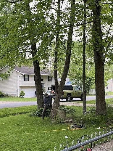 Affordable residential landscaping in Cincinnati, OH - Cotras Tree Service & Landscaping