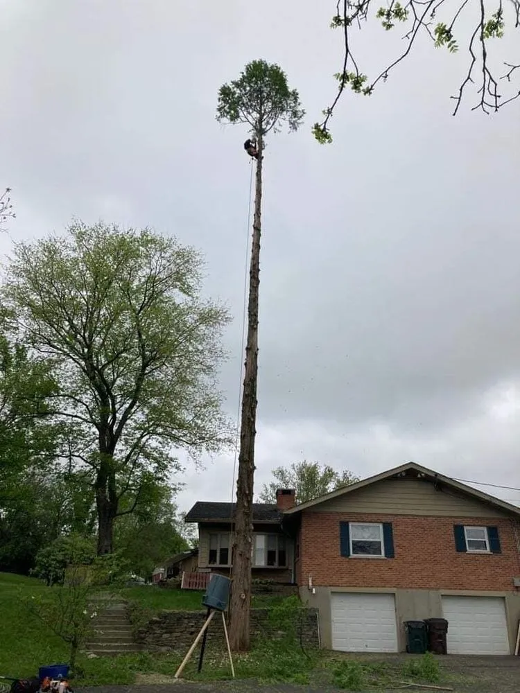 Custom landscaping services in Cincinnati, OH - Cotras Tree Service & Landscaping