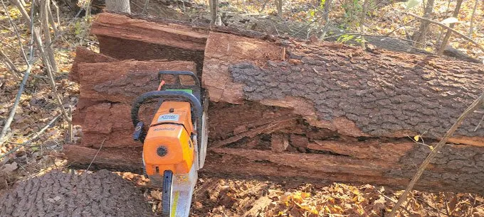 Affordable residential landscaping near you across Cincinnati, OH - Cotras Tree Service & Landscaping