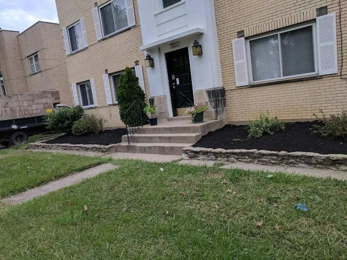 Local yard cleanup service experts serving Cincinnati, OH - Cotras Tree Service & Landscaping