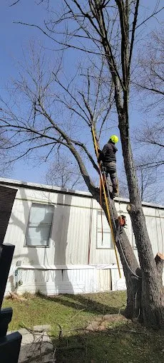Local outdoor landscaping in Cincinnati, OH by Cotras Tree Service & Landscaping