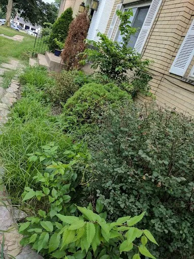 Expert landscape installation for homes across Cincinnati, OH - Cotras Tree Service & Landscaping