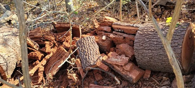 Reliable lawn mowing service in Cincinnati, OH by Cotras Tree Service & Landscaping