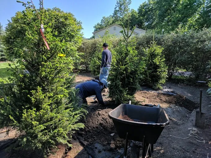 Top-rated landscaping services for homes in Cincinnati, OH by Cotras Tree Service & Landscaping