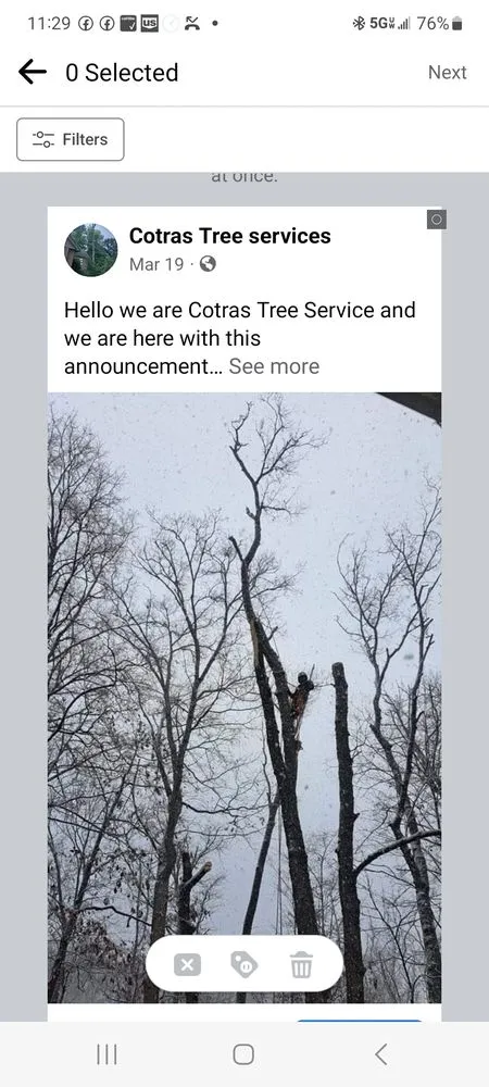 Custom yard maintenance for beautiful yards in Cincinnati, OH by Cotras Tree Service & Landscaping