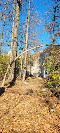 Reliable landscaping services with custom design across Cincinnati, OH - Cotras Tree Service & Landscaping