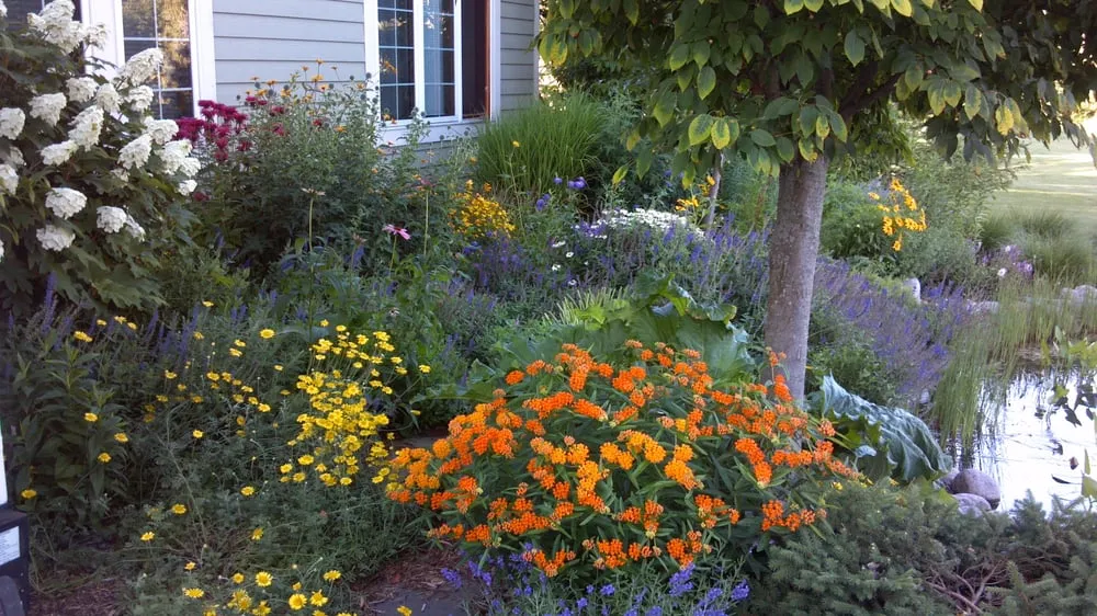 Expert lawn care service for beautiful yards across Sussex, WI - Cottage Gardener