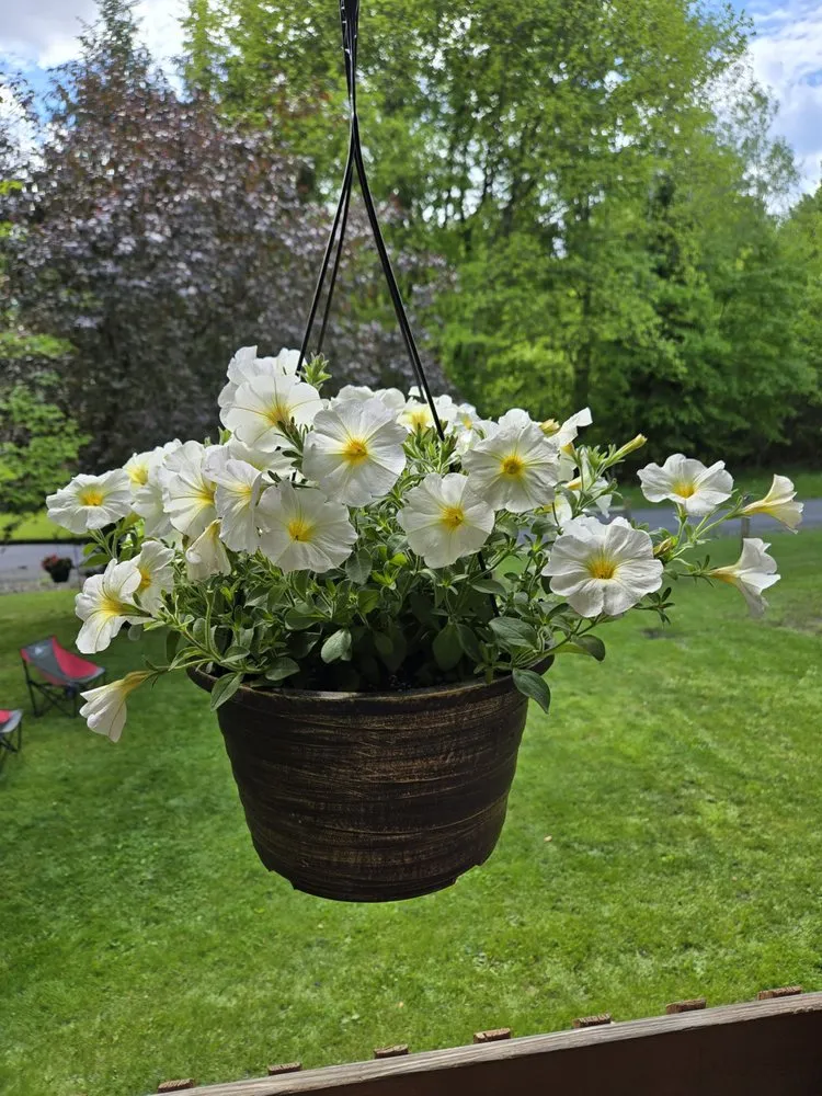 Expert yard cleanup service experts serving Hermitage, PA - Cottage Gardens