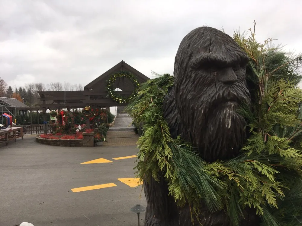 Reliable lawn care service experts serving Hermitage, PA - Cottage Gardens