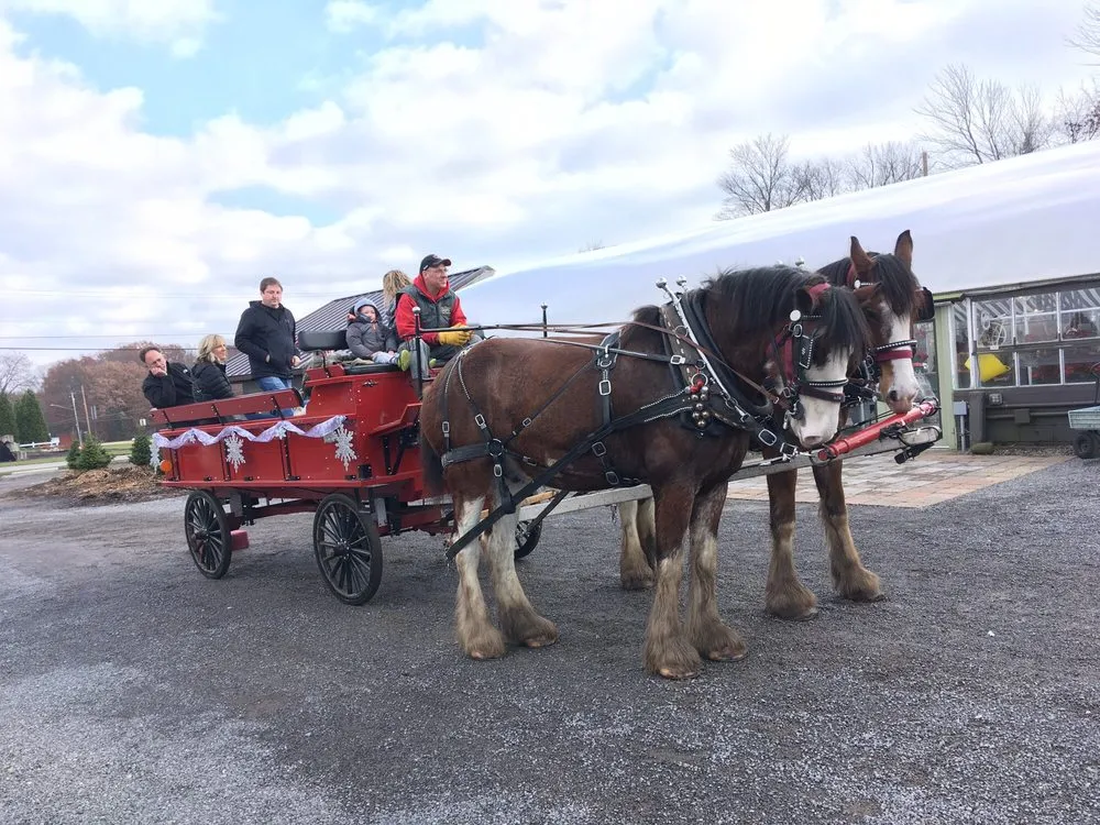 Top-rated outdoor landscaping for residential properties across Hermitage, PA - Cottage Gardens