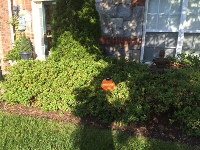 Professional lawn mowing service in Fredericksburg, VA by Cottage Gardens Landscaping & Power washing