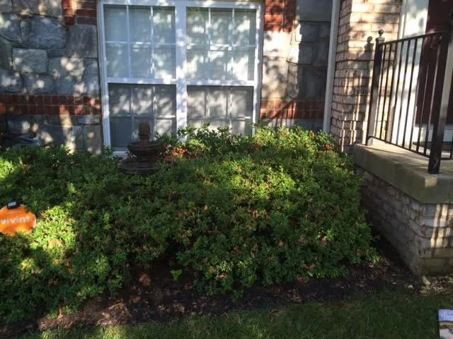 Top-rated outdoor landscaping experts serving Fredericksburg, VA - Cottage Gardens Landscaping & Power washing