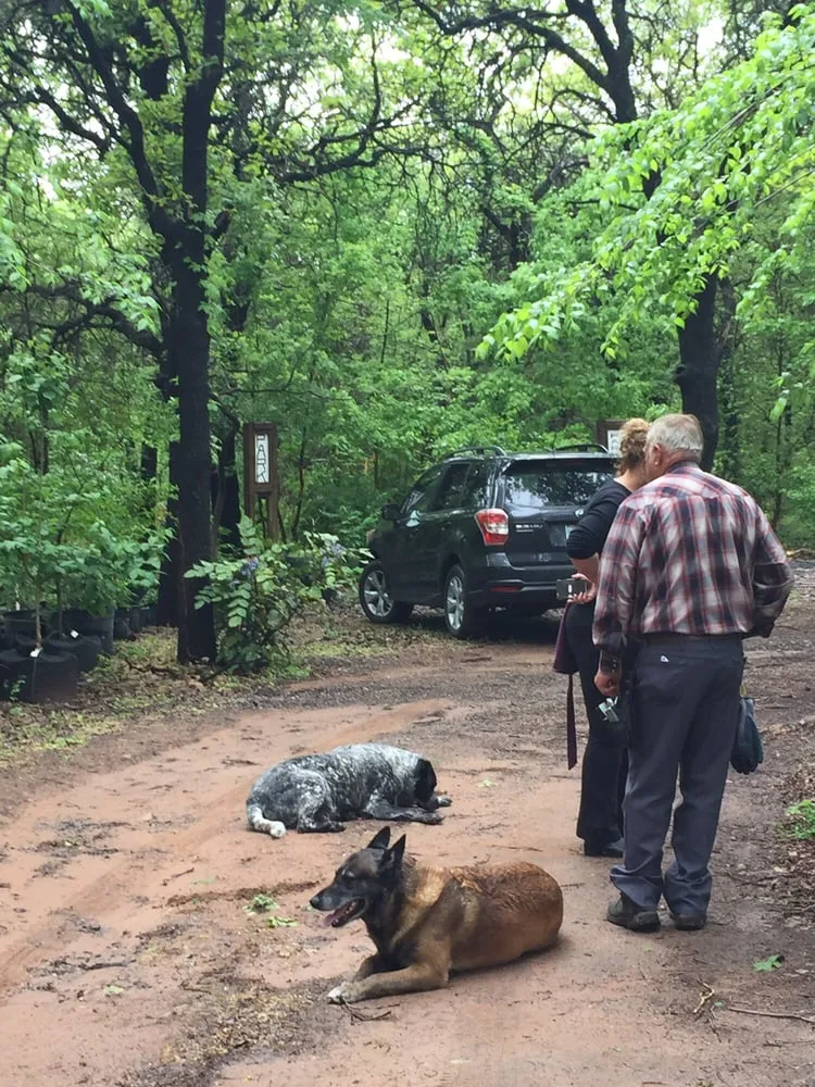 Top-rated yard maintenance in Edmond, OK - Cottage Supply & Plants